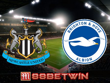 Soi kèo nhà cái Newcastle vs Brighton – 01h30 – 19/05/2023